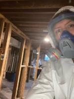 Absolute Mold Remediation Ltd. image 3